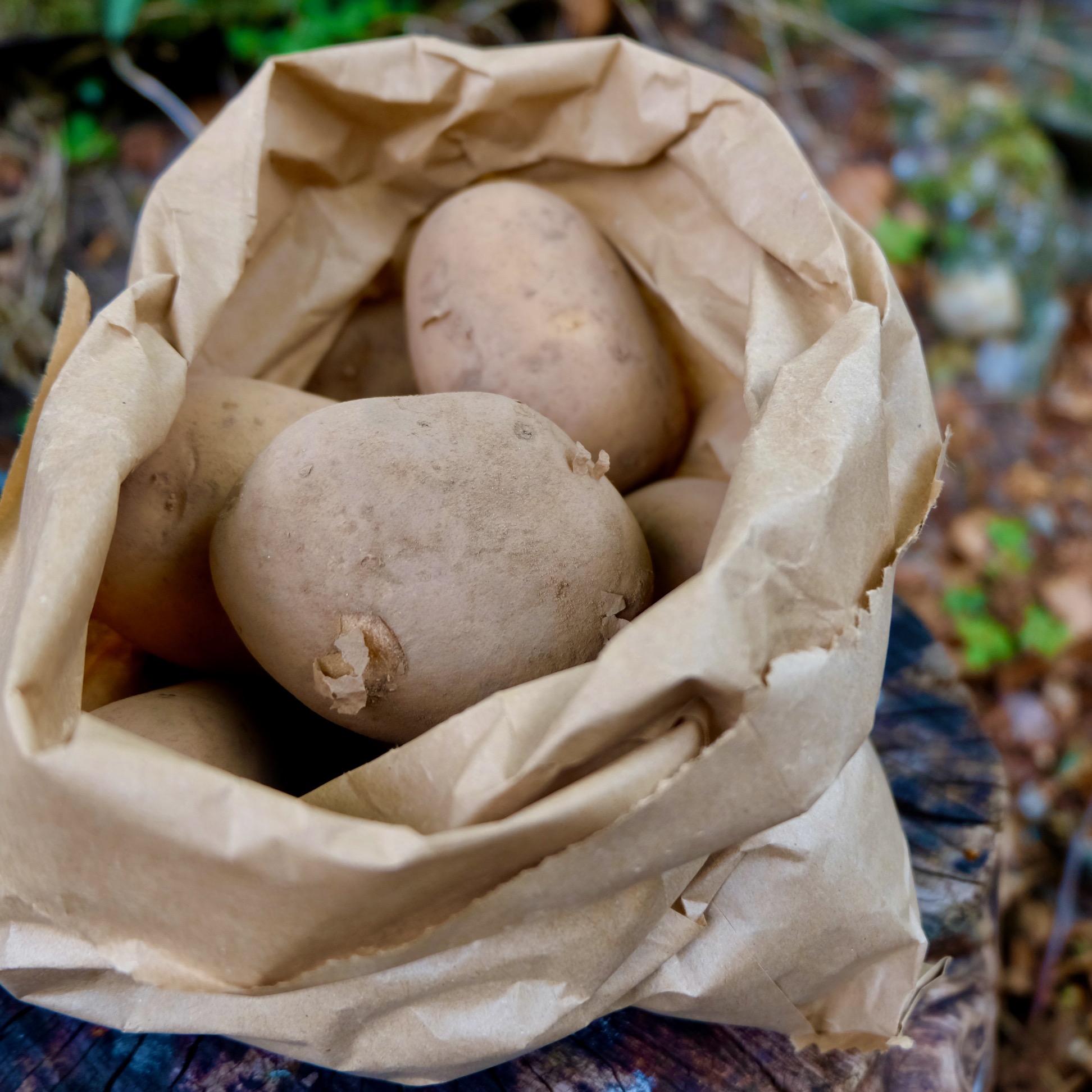 Potatoes Organic (5kg)